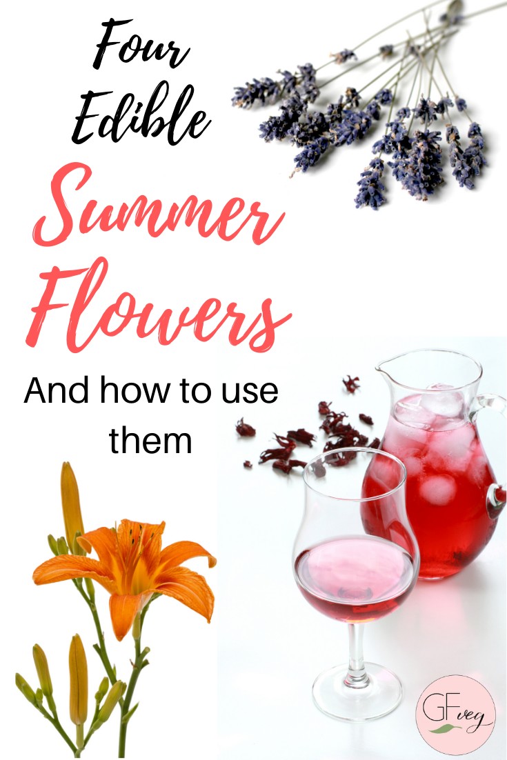 edible summer flowers