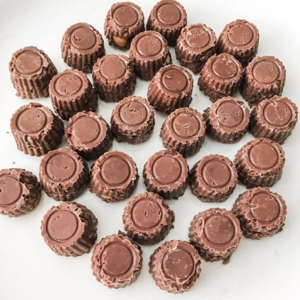 Chocolate Covered Macadamia Nuts Gluten Free Vegetarian