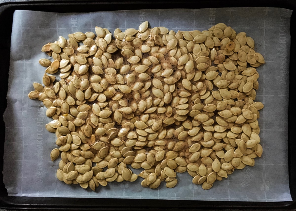 pumpkin seeds for roasting